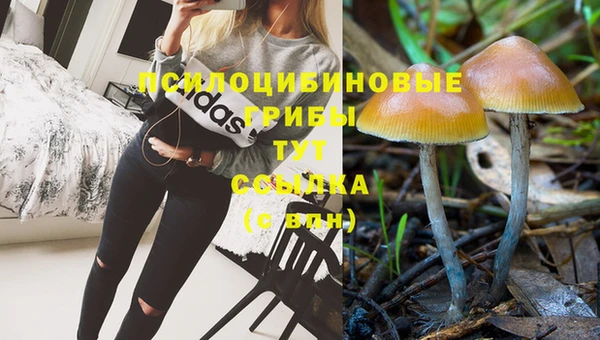 соль ск Заводоуковск