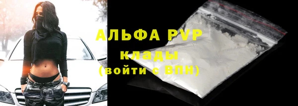 PSILOCYBIN Зерноград
