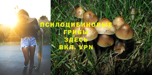 прущая мука Зеленодольск