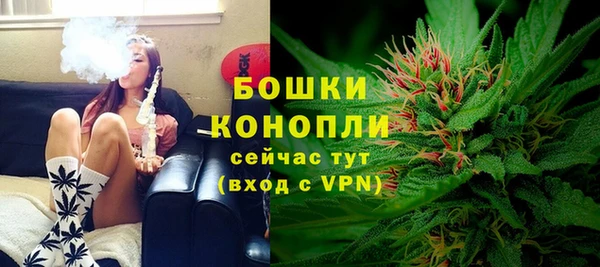 PSILOCYBIN Зерноград